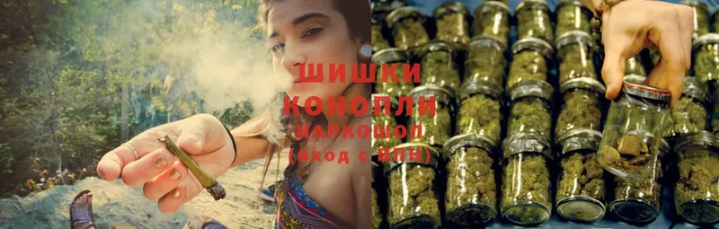 купить наркоту  маркетплейс клад  Бошки марихуана THC 21%  Рыльск 